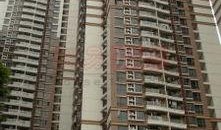 广州恒恒最新爆料,揭秘球队内部动态与未来战略布局