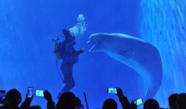 海洋最新爆料,揭秘海洋最新发现与奇观