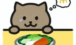 胖猫姐姐直播爆料最新,娱乐圈最新动态大曝光！